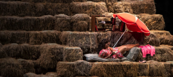 Любовный напиток